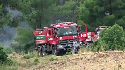 Serik'te 15 dekar ormanlık alan zarar gördü - ANTALYA