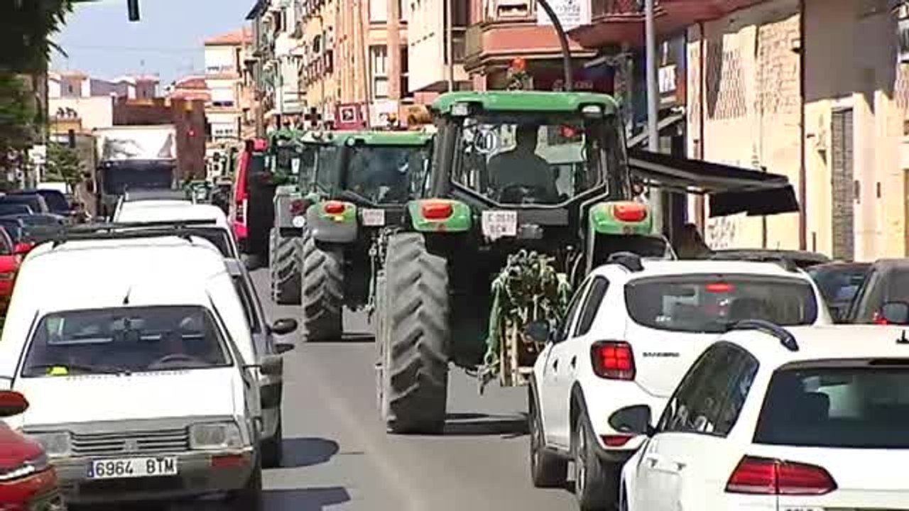 Miles de agricultores se suman a la tractorada por la crisis del aceite de oliva en Úbeda (Jaén)