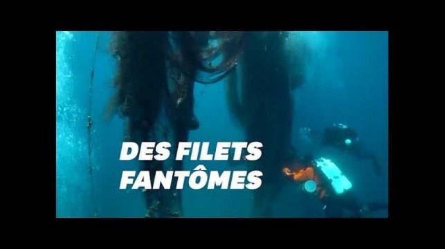 Ces plongeurs ont ramassé 2 tonnes de filets de pêche polluants en Grèce