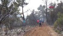 ANTALYA Serik'te tarlada başlayan yangın ormana sıçradı