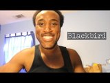 Ty McKinnie -  Blackbird (Original)