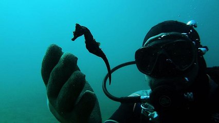 Καθαρισμός του υποθαλάσσιου χώρου στο Στρατώνι