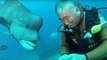 Un plongeur chinois et un poisson impressionnant se lient d'amitié... Adorable