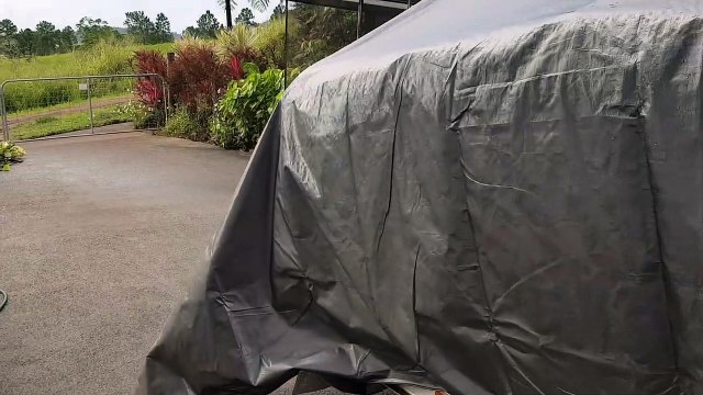 Snake Snacking in the Back of a Boat