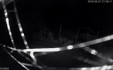 Spectacular Meteor Sighting