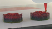 3D Printer Is Making Food Supplements To Help Your Diet