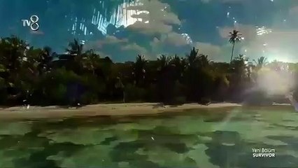 Yusuf köpek balığının peşinden gitti