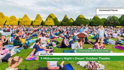 A Midsummer Night's Dream, Japanese Sakura Festival, Professor Humboldt's T