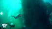 En Grèce, des plongeurs remontent deux tonnes de filets de pêche abandonnés