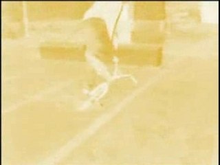 Flox place de la cathédrale le grand retour