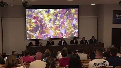 Lyon apresenta Juninho e Sylvinho