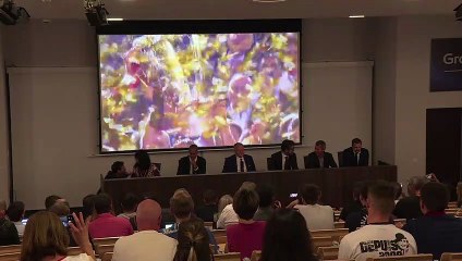 Lyon apresenta Juninho e Sylvinho