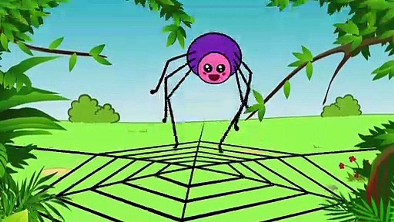 Comment Dit On Araignée En Anglais