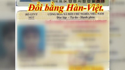 위조 베트남 면허로 국내 운전면허증 발급 / YTN