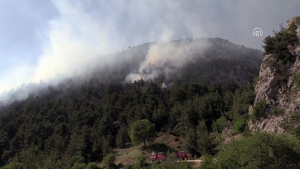 Orman yangını (2) - BİLECİK