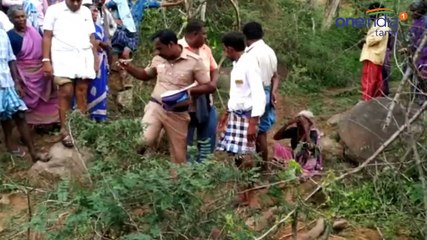 பென்னாகரம் ஏரியூர் அருகே வனப்பகுதி ஒட்டிய பகுதியில் ஆடு மேய்த்தவரை யானை மிதித்து  பலி-வீடியோ