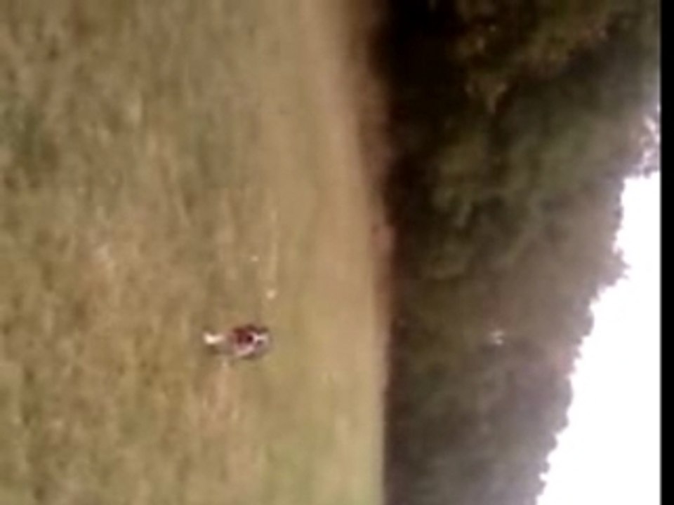 Video008