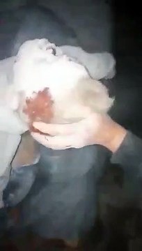 قتلى في قصف بالبراميل المتفجرة على ريف إدلب (فيديو)