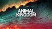 Animal Kingdom S04E02 Angela