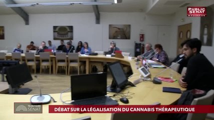 FranÃÂ§ois Patriat - Public SÃÂ©nat mercredi 29 mai 2019