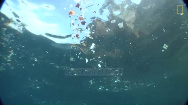 Shqipëria, Italia dhe Mali i Zi bashkë për të pastruar Adriatikun - Top Channel Albania