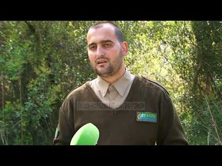 Lulet e lagunës/ Divjaka e mbushur me bimë, shtohen edhe shpendët - Top Channel Albania