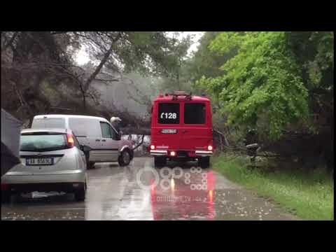 RTV Ora - Moti i keq rrëzon pishën, bllokohet rruga drejt Triportit