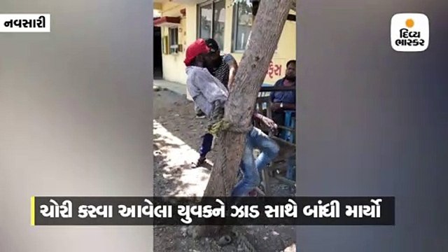 નવસારી-સુરત રોડ પર મરોલી સુગરમાં ચોરી કરવા આવનાર યુવકને વૃક્ષ સાથે બાંધીને માર મરાયો