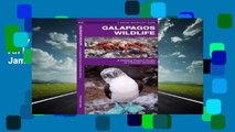 Any Format For Kindle  Galapagos Wildlife: An Introduction to Familiar Species by James Kavanagh