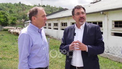 RTV Ora - Qeveria premton paketë për blegtorinë