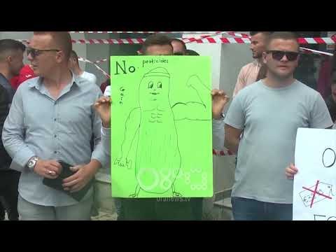 RTV Ora - Po hamë perime me pesticide , të rinjtë demokratë sulmojnë me domate AKU-në në Durrës
