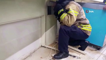 Duvara sıkışan kediyi kurtarma operasyonu kamerada
