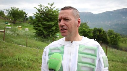 Bletërritës në Gjirokastër: Në qytet s'ka pesticide si në fshat - Top Channel Albania - News - Lajme