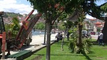 Se vadat palmi vo Ohrid
