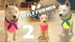 Little Friends: Dogs & Cats Part 2 - Tikal Goes Out ! - No Commentary (Switch)