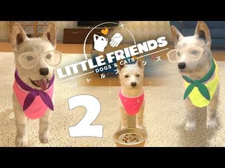 Little Friends: Dogs & Cats Part 2 - Tikal Goes Out ! - No Commentary (Switch)
