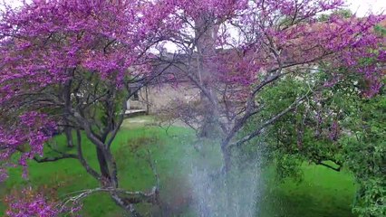 Manoir de l'Oseraie Grand gîte de charme Normandie