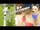 Little Friends: Dogs & Cats Part 1 - Meet Tikal ! - No Commentary (Switch)