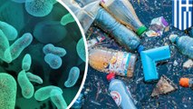 New plastic-eating microbes found underneath the ocean