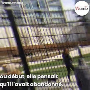 Cet homme laisse son chien seul pendant 30 minutes dans un parc !
