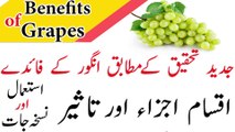 angoor ke fayde || Health Benefits Of Grapes in Urdu || انگورکےزبردست فوائد