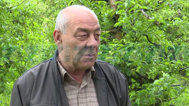 FERMERET ANKOHEN SE MOTI ME RESHJE PO I KALB QERSHITE - News, Lajme - Kanali 7