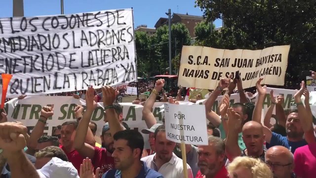 Miles de agricultores protestan en Jaén ante la situación de emergencia en el olivar