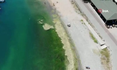 İstanbul'da sıcaktan bunalanlar kendini denize attı