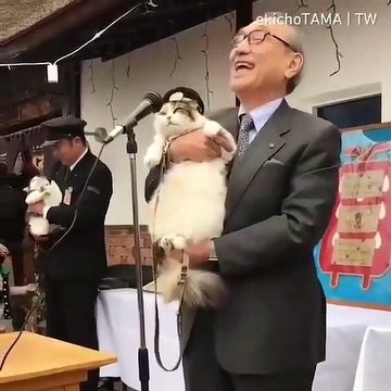 Quand des chats donnent une conférence de presse, voici ce que ça donne. Hilarant !