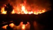 Un incendio arrasa un palmeral en Elche