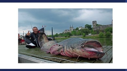 Dopo una battaglia di 30 minuti, tira fuori dall'acqua un vero mostro!