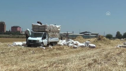 Saman işçilerinin zorlu ramazan mesaisi