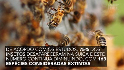 O efeito terrível e inesperado do 5G nos insetos