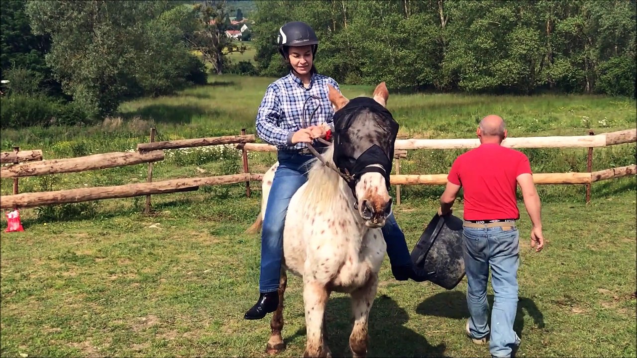 Villing : une complicité unique avec sa jument aveugle